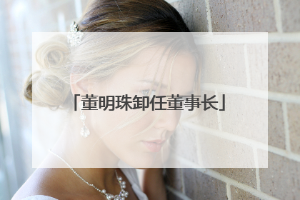 董明珠卸任董事长
