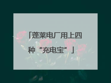 蓬莱电厂用上四种“充电宝”