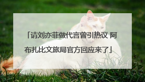请刘亦菲做代言曾引热议 阿布扎比文旅局官方回应来了