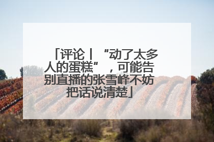 评论丨“动了太多人的蛋糕”，可能告别直播的张雪峰不妨把话说清楚