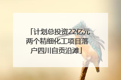 计划总投资22亿元 两个精细化工项目落户四川自贡沿滩