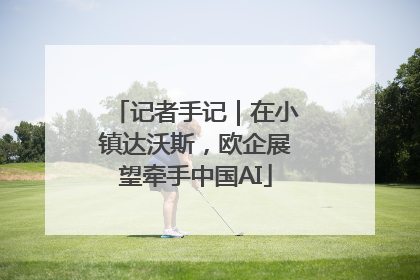 记者手记｜在小镇达沃斯，欧企展望牵手中国AI