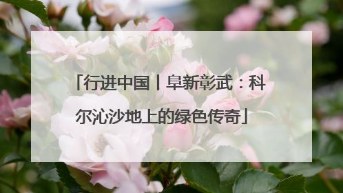 行进中国丨阜新彰武：科尔沁沙地上的绿色传奇