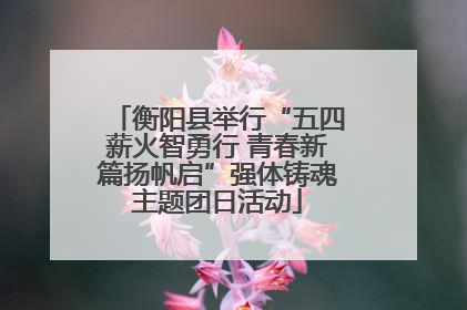 衡阳县举行“五四薪火智勇行 青春新篇扬帆启”强体铸魂主题团日活动