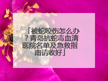 被蛇咬伤怎么办?青岛抗蛇毒血清医院名单及急救指南请收好