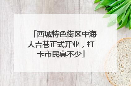 西城特色街区中海大吉巷正式开业，打卡市民真不少