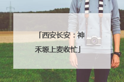 西安长安：神禾塬上麦收忙