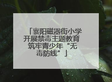 襄阳磁器街小学开展禁毒主题教育 筑牢青少年“无毒防线”