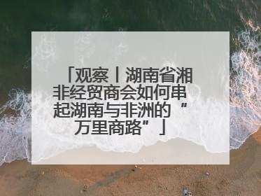 观察丨湖南省湘非经贸商会如何串起湖南与非洲的“万里商路”