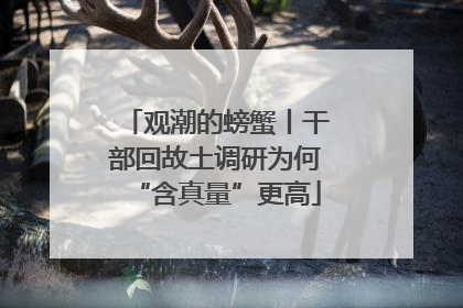 观潮的螃蟹丨干部回故土调研为何“含真量”更高