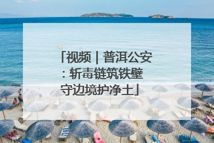 视频｜普洱公安：斩毒链筑铁壁 守边境护净土