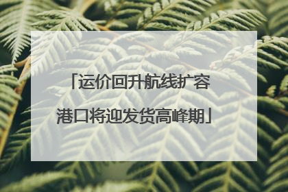 运价回升航线扩容 港口将迎发货高峰期