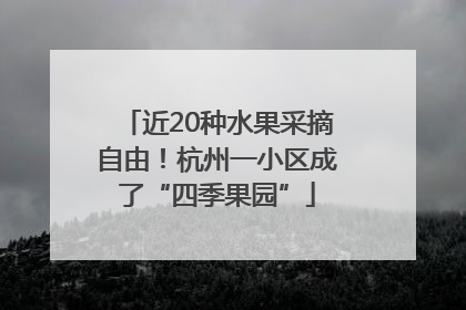 近20种水果采摘自由！杭州一小区成了“四季果园”