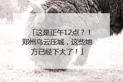 这是正午12点？！郑州乌云压城，这些地方已经下大了！