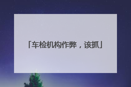 车检机构作弊，该抓