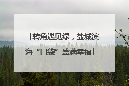转角遇见绿，盐城滨海“口袋”盛满幸福