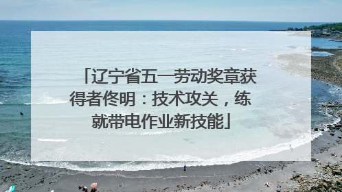 辽宁省五一劳动奖章获得者佟明：技术攻关，练就带电作业新技能