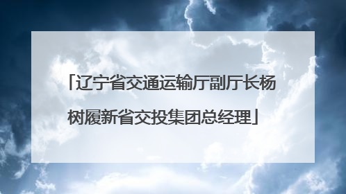辽宁省交通运输厅副厅长杨树履新省交投集团总经理