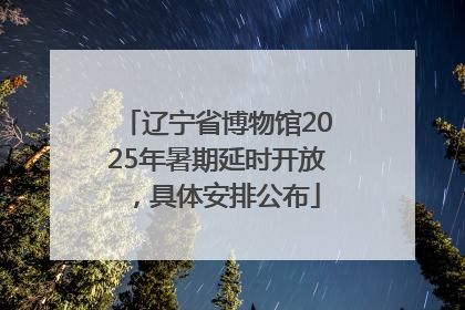 辽宁省博物馆2025年暑期延时开放，具体安排公布