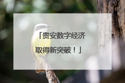 贵安数字经济取得新突破！