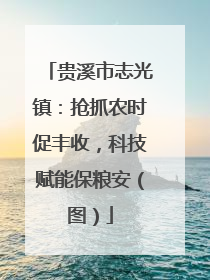 贵溪市志光镇：抢抓农时促丰收，科技赋能保粮安（图）
