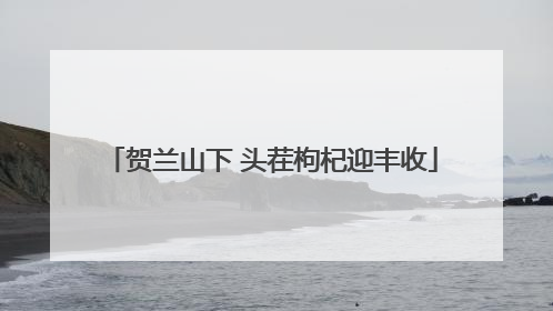 贺兰山下 头茬枸杞迎丰收