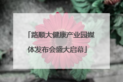 路顺大健康产业园媒体发布会盛大启幕