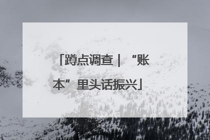 蹲点调查｜“账本”里头话振兴