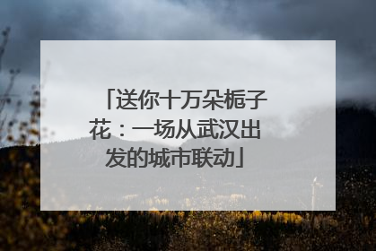 送你十万朵栀子花：一场从武汉出发的城市联动