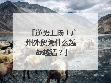 逆势上扬！广州外贸凭什么越战越猛？
