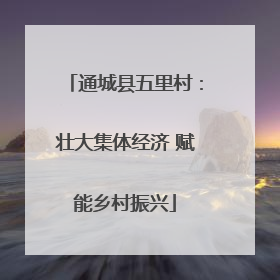 通城县五里村：壮大集体经济 赋能乡村振兴