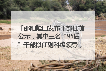 邵阳隆回发布干部任前公示，其中三名“95后”干部拟任副科级领导，均系硕士选调生