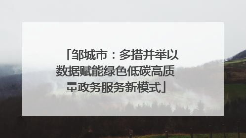 邹城市：多措并举以数据赋能绿色低碳高质量政务服务新模式