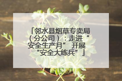 邻水县烟草专卖局（分公司）：走进“安全生产月” 开展“安全大练兵”