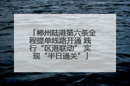 郴州陆港第六条全程提单线路开通 践行“区港联动” 实现“半日通关”