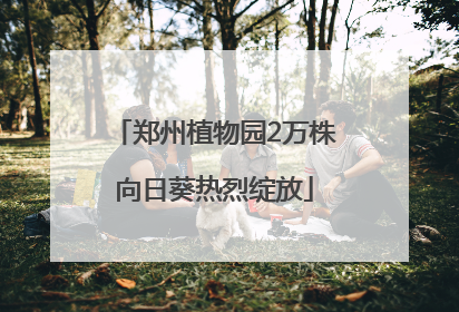 郑州植物园2万株向日葵热烈绽放