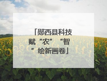 郧西县科技赋“农”“智”绘新画卷