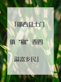郧西县土门镇“椒”香四溢富乡民