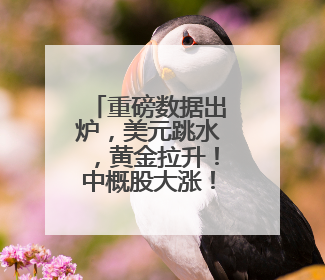 重磅数据出炉，美元跳水，黄金拉升！中概股大涨！英伟达涨超4%，市值重返全球第一！黄仁勋计划出售至多600万股股票