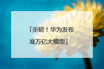 重磅！华为发布准万亿大模型