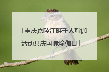 重庆嘉陵江畔千人瑜伽活动共庆国际瑜伽日
