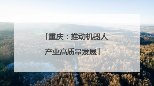 重庆：推动机器人产业高质量发展