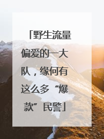 野生流量偏爱的一大队，缘何有这么多“爆款”民警
