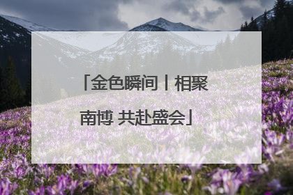 金色瞬间丨相聚南博 共赴盛会