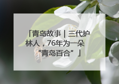 青岛故事｜三代护林人，76年为一朵“青岛百合”