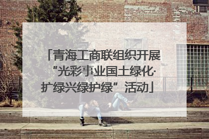 青海工商联组织开展“光彩事业国土绿化·扩绿兴绿护绿”活动