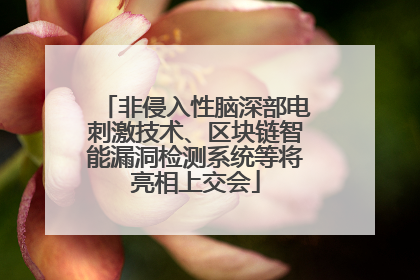 非侵入性脑深部电刺激技术、区块链智能漏洞检测系统等将亮相上交会