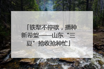 铁犁不停歇，播种新希望——山东“三夏”抢收抢种忙