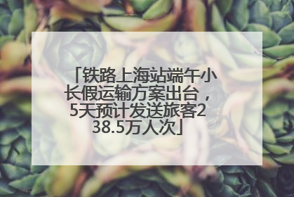 铁路上海站端午小长假运输方案出台，5天预计发送旅客238.5万人次