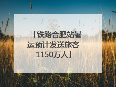 铁路合肥站暑运预计发送旅客1150万人